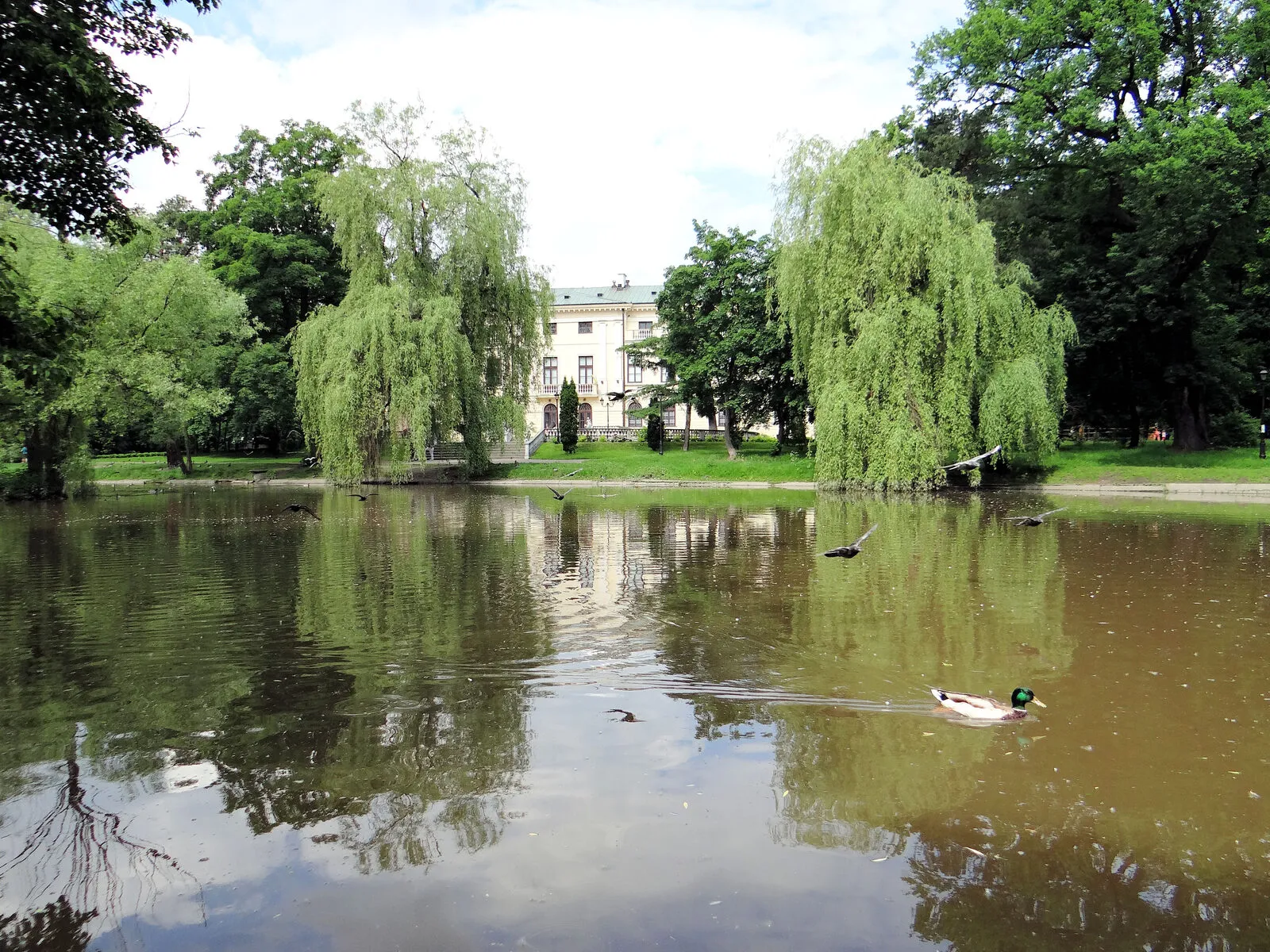 Park krajobrazowy wokół pałacu Dernałowiczów w Mińsku Mazowieckim.