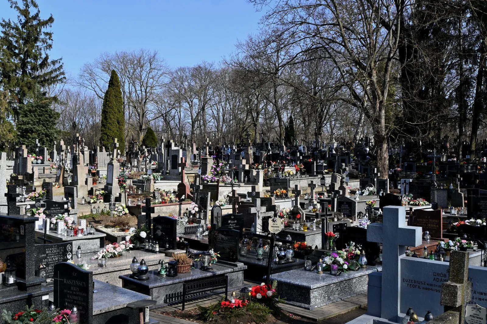 Stary cmentarz parafialny w Ciechanowie przy ulicy Płońskiej: nagrobki i krzyże wśród starych drzew.