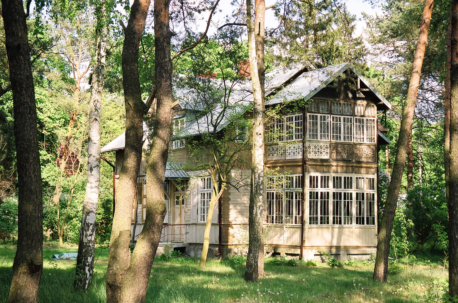 Drewniana willa Hanka w Józefowie z werandami, wśród sosen